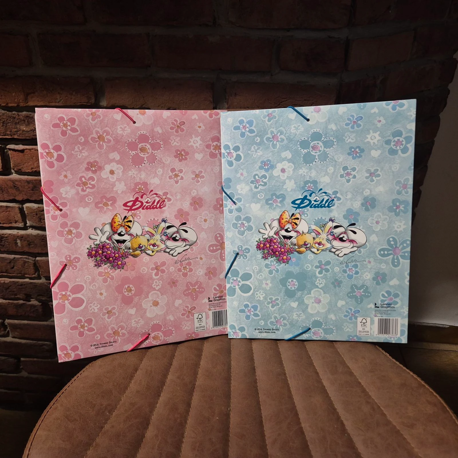 Set van Diddl klepkleedjes en elastieken – photo 2